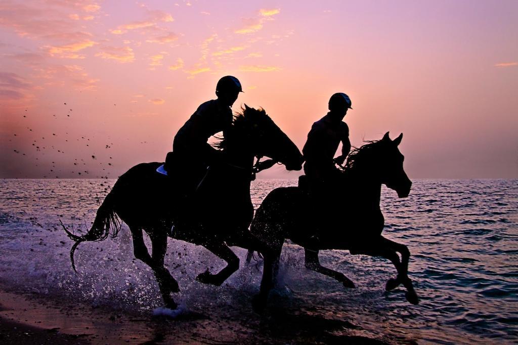 Anantara Sir Bani Yas Island Al Sahel Villas Zahr Kültér fotó
