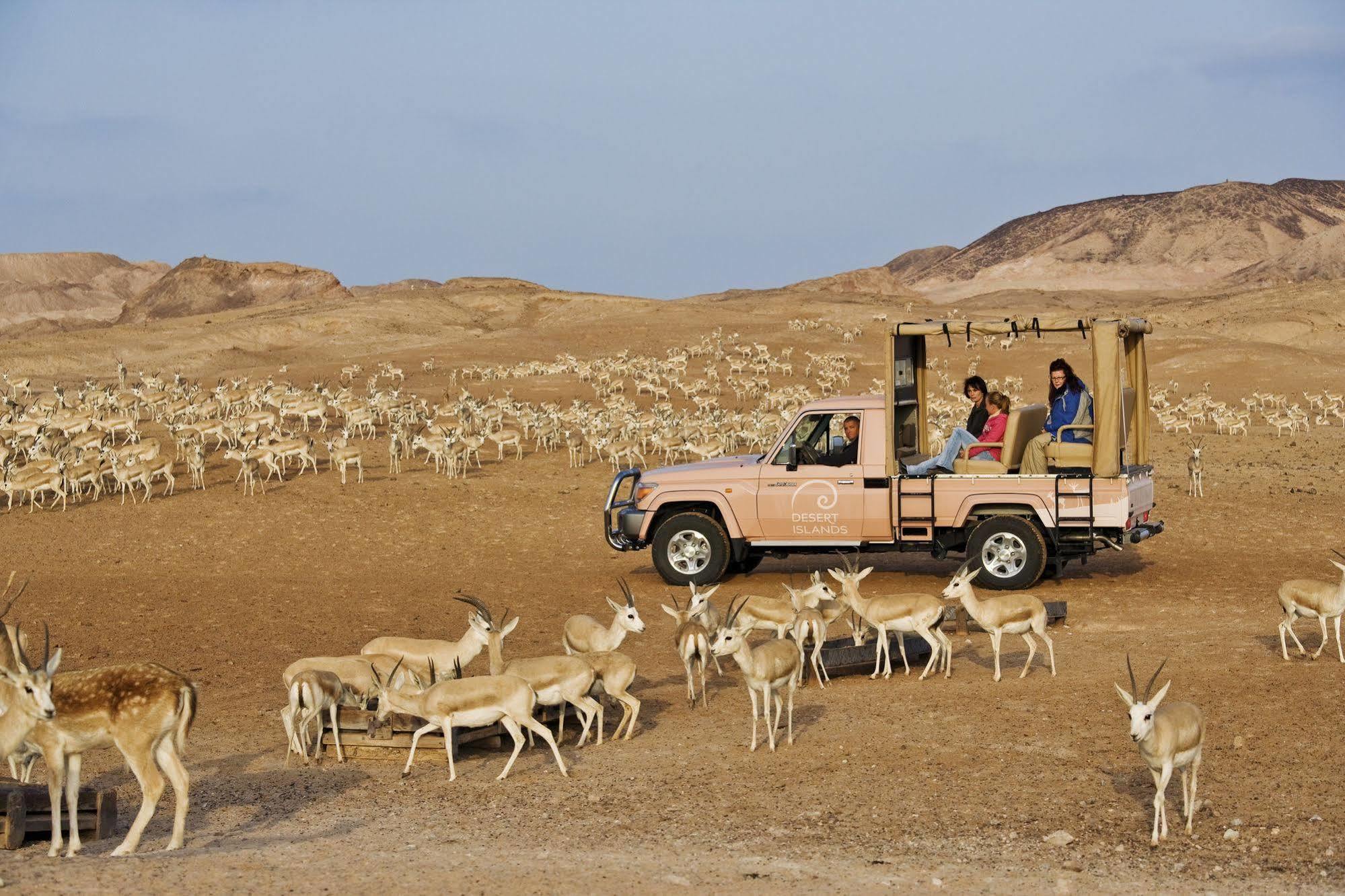 Anantara Sir Bani Yas Island Al Sahel Villas Zahr Kültér fotó