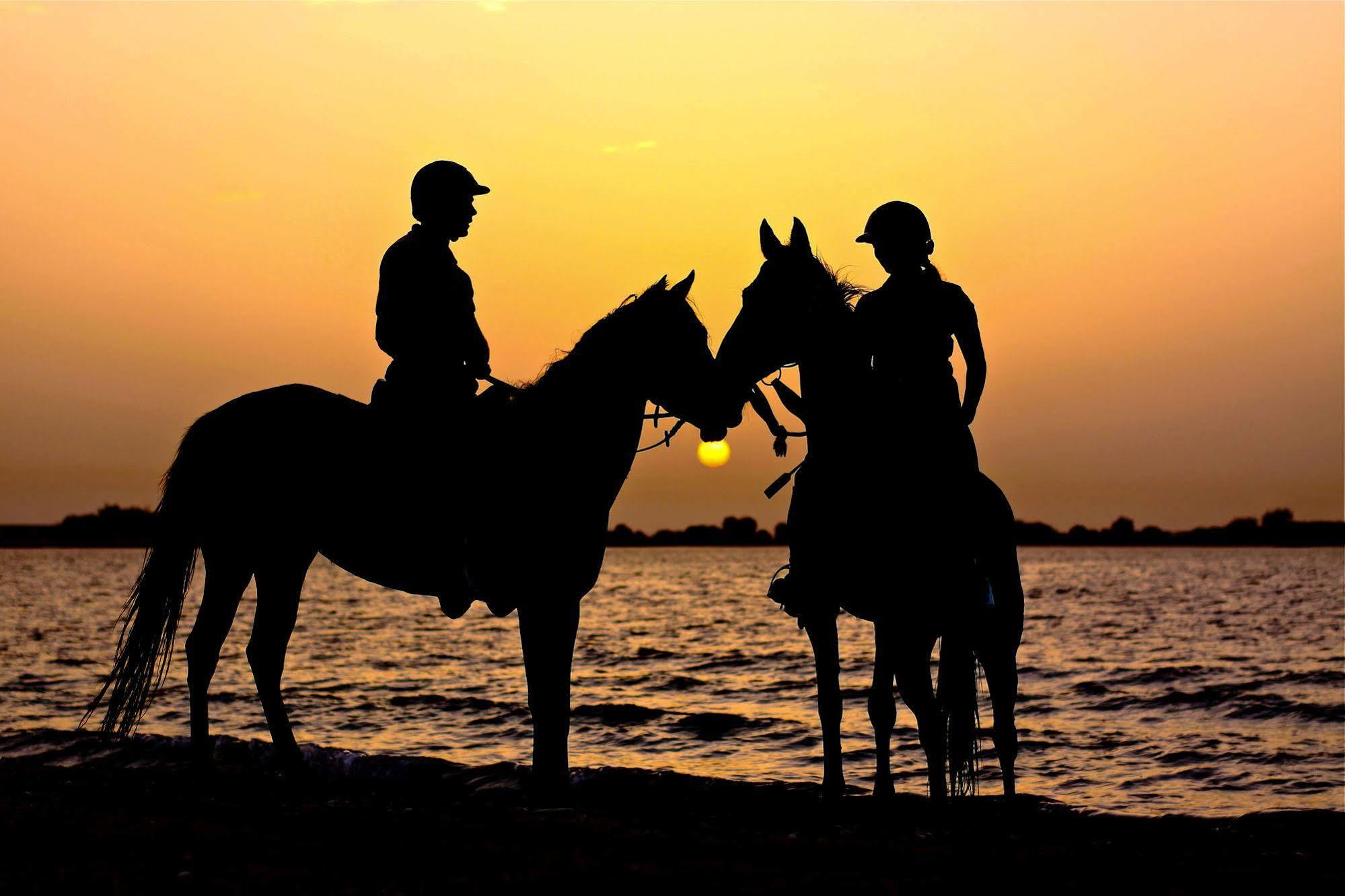 Anantara Sir Bani Yas Island Al Sahel Villas Zahr Kültér fotó