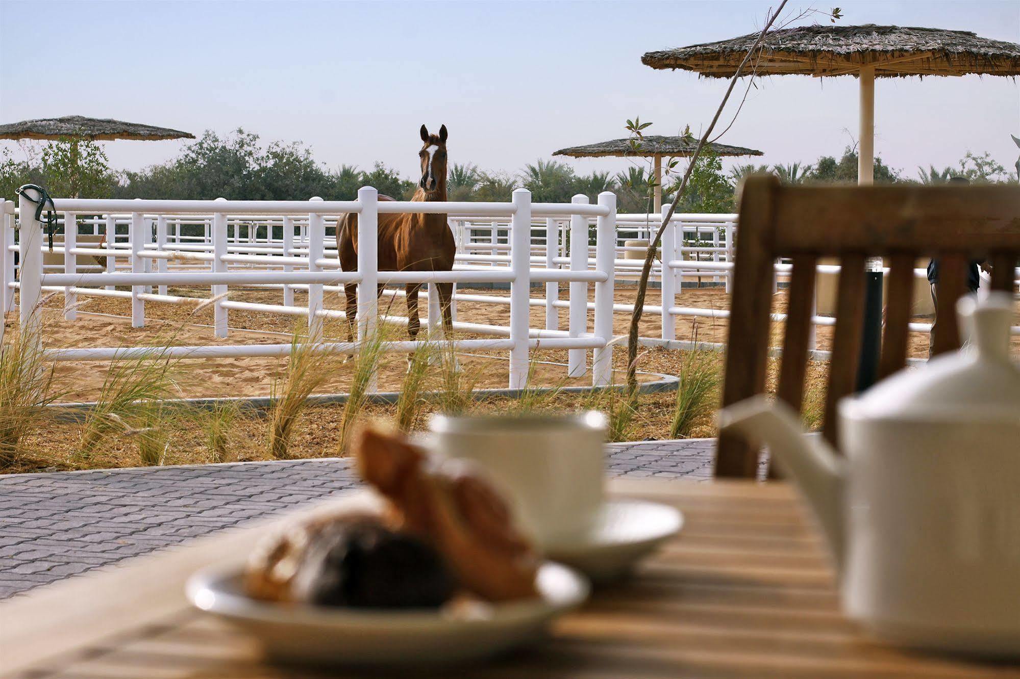 Anantara Sir Bani Yas Island Al Sahel Villas Zahr Kültér fotó