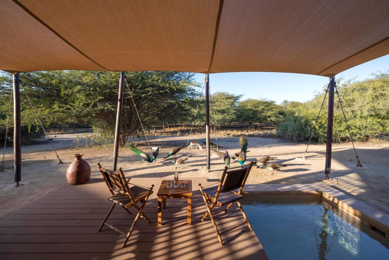 Anantara Sir Bani Yas Island Al Sahel Villas Zahr Kültér fotó